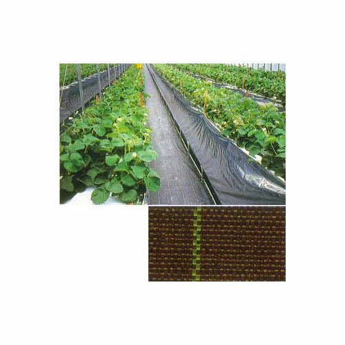 (高耐久 防草シート) 防草シート JPシート 幅 125cm×100m 【除草シート エクステリア 農機具 瀧商店】※色をお選びください JNC開発