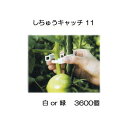 誘引資材 しちゅうキャッチ 11 (3600個入) 白or緑 色選択 支柱径11mm用 シーム S11W-300 S11G-300