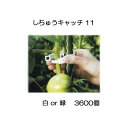 誘引資材 しちゅうキャッチ 11 3600個入 白or緑 色選択 支柱径11mm用 シーム S11W-300 S11G-300