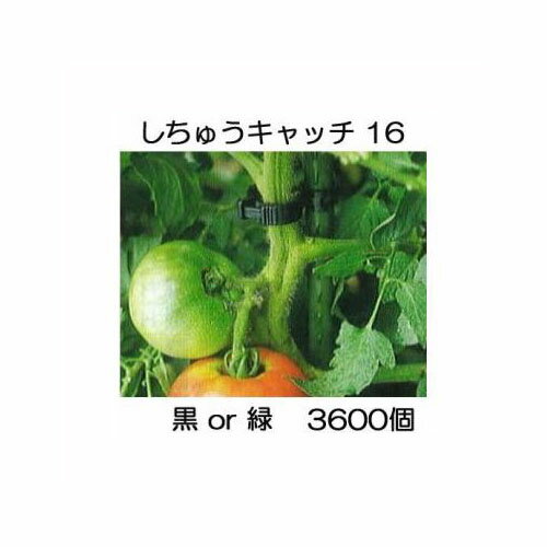 (3600個入) 誘引資材 しちゅうキャッチ 16 (黒or緑 色選択) 支柱径16mm用 シーム S16B-300 S16G-300