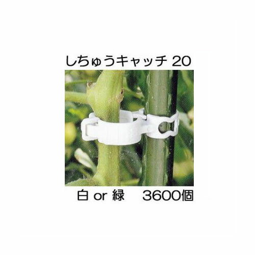 3600個入 誘引資材 しちゅうキャッチ 20 300個入 12袋 支柱径20mm用 シーム 白or緑 色選択 [誘引具 園芸用品 農機具 瀧商店] S20W-300 S20G-300