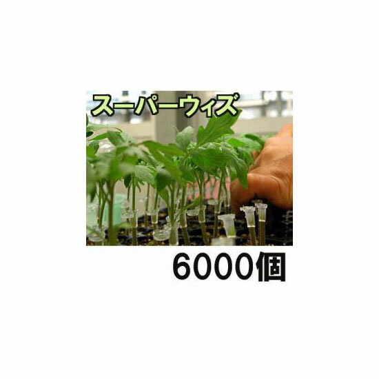 (6000個入) 接木ホルダー スーパーウィズ 1000個入×6袋 ナスニックス※14号、17号、20号、23号からお選びください