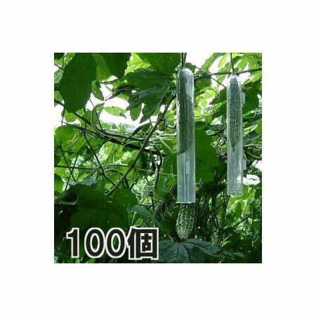 送料無料　法人様限定　イボ付き園芸支柱 8mm×1800mm 100本入り　十字キャップ別売り　沖縄・離島出荷不可