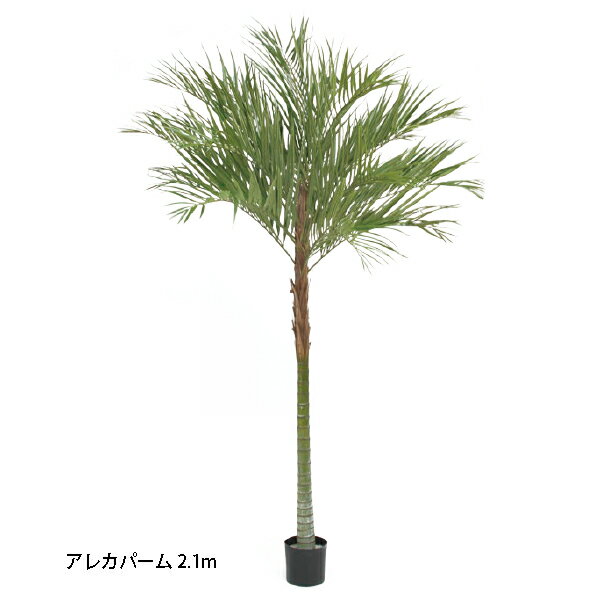 ʼѡ緿͹ 쥫ѡ 1Ω 2.1m(GD-157SS 33440700)Υ硼  ƥꥢ  ...