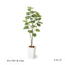 （室内用）人工観葉植物 ウンベラータ 2.1m(GD-230L 33383700)［タカショー 園芸用品 エクステリア 農機具 瀧商店]