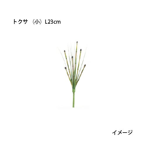 ʼѡ˥ɥС  ͹ʪ ȥ ʾ L23cm(GN-80S33390500)Υ硼  ƥꥢ ...