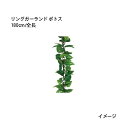 （室内用）ガーランド 人工植物 リングガーランド ポトス 180cm/全長(GG-52 21736600)［タカショー 園芸用品 エクステリア 農機具 瀧商店]