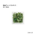 (室内用) 人工植物 壁面アレンジ 30×30cm D ポトス (33170300 GD-203D) (タカショー 園芸用品 エクステリア 農機具 瀧商店)