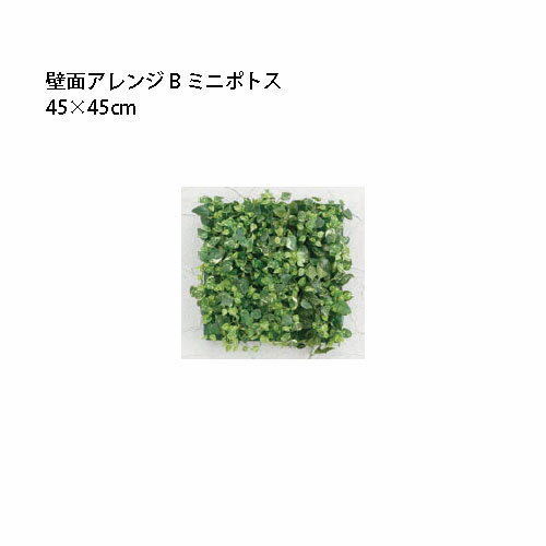 ※フレームなしタイプ、台座厚さ 5.0cm 北海道・沖縄・離島についての送料はお見積になります。■壁面アレンジ 30×30cm コード 品番 品名 33167300 GD-203A A ドラセナ 33168000 GD-203B B ミニポトス 33169700 GD-203C C ミニアイビー 33170300 GD-203D D ポトス 33171000 GD-203E E ボストン 33172700 GD-203F F カラジューム 33173400 GD-203G G 多肉 33174100 GD-203H H モンステラ ※フレームなしタイプ、台座厚さ 5.0cm ■壁面アレンジ 45×45cm コード 品番 品名 33576300 GD-201A A ドラセナ 33577000 GD-201B B ミニポトス 33578700 GD-201C C ミニアイビー 33579400 GD-201D D ポトス 33580000 GD-201E E ボストン 33581700 GD-201F F カラジューム 33584800 GD-201G G 多肉 33585500 GD-201H H モンステラ ※フレームなしタイプ、台座厚さ 5.0cm ■壁面アレンジ 45×45cm フレーム付 コード 品番 品名 33532900 GD-201AF A ドラセナ 33533600 GD-201BF B ミニポトス 33534300 GD-201CF C ミニアイビー 33535000 GD-201DF D ポトス 33536700 GD-201EF E ボストン 33537400 GD-201FF F カラジューム 33538100 GD-201GF G 多肉 33539800 GD-201HF H モンステラ ※フレーム付タイプ、フレーム厚さ 5.0cm