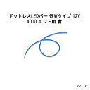 ドットレスLEDバー 低Wタイプ 12V4000 エンド用 青 (HAC-B48T 70553500)(タカショー エクステリア 庭造り DIY)