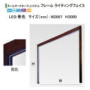 タカショー ホームヤードルーフ システムフレーム ライティングフェイス ローボルト12V (LED:青色 サイズ:W2667 H3000) ※フレームカラー選択