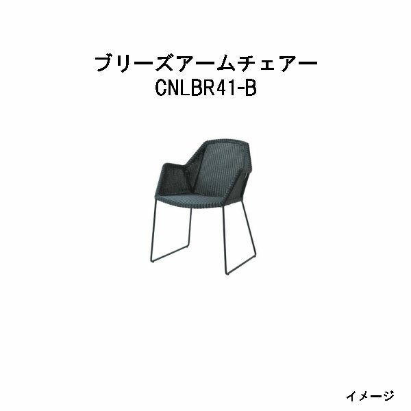 タカショー　ブリーズアームチェアー(CNLBR41-B 32635800)ブラック (エクステリア ガーデンファニチャ..