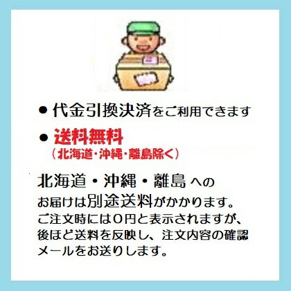 (3個セット特価) 動物トラップ 2号 (両バネ) 小動物捕獲器 (アニマルトラップ 改良型 ゴム付) 手動式罠 (Ctype No.401 AG-1 栄ヒルズ) 栄工業 2