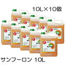 (10本セット特価) 除草剤 サンフーロン 10L×10個 徳用100L ［ ジェネリック 園芸用品 農機具 農具 雑草対策 スギナ 竹 笹］