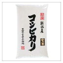 産地直送 【令和5年産】 岩船産 コシヒカリ 玄米10kg （10kg×1袋） 1等米 希少商品 数量限定