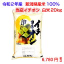 ◆新米◆令和元年産　新潟産オリジナルブレンド米「当店イチオシ」20kg おいしいお米　（10kg×2袋）　お米マイスター特選新潟米100％オリジナルブレンド米　安くておいしい新潟米をどうぞ！