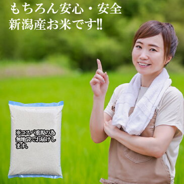 【新潟産】新潟米 格安 生活応援米 25kg(5kg×5袋) コスパ重視 業務用 未検査米 安くてうまい!!!食べ盛りの子供家庭におすすめ
