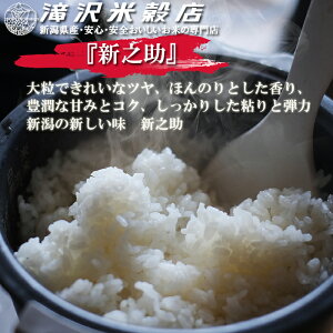 ★産地直送★ 新之助 【令和5年産】 新潟県産 新之助 白米10kg (5kg×2袋) 新潟産 送料無料 新潟 しんのすけ おこめ お米 米 米10kg 米10キロ お米10キロ 白米 コメブランド米 お米マイスター認定 御中元 贈り物 お祝い お取り寄せ 内祝い ギフト