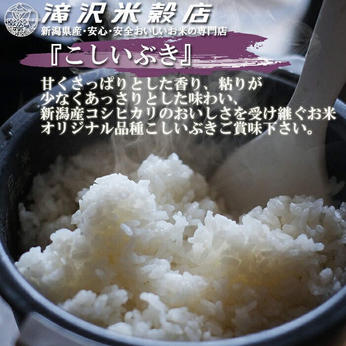 新潟産 新潟県産 こしいぶき 米 白米 25キロ 甘みがあって美味しい コスパ良し　新米 【令和7年産】 新潟産こしいぶき 白米25kg （5kg×5袋）