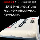 産地直送【令和5年産】 新潟産特別栽培米コシヒカリ 白米25kg （5kg×5袋）新潟県産 送料無料 新潟 こしひかり おこめ お米 米 米25kg 米25キロ お米25キロ 白米 特別栽培米 3