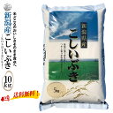 産地直送 【令和5年産】 新潟産こしいぶき 白米10kg （5kg×2袋）