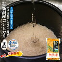 新米 【令和5年産】 無洗米 新潟産コシヒカリ 10kg （5kg×2袋）