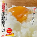 3月21日～ 再販致します  生活応援米 10kg (5kg×2袋) ★原価特価サービス品★ コスパ重視 業務用 未検査米 送料無料 新潟 激安米 ブレンド米 おこめ お米 米 米10kg 米10キロ お米10キロ 白米 コメ 格安