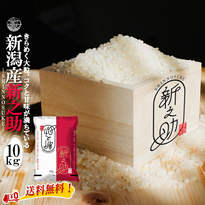 特別セール 新之助 【令和7年産】 新潟県産 新之助 白米10kg (5kg×2袋) 新潟産 送料無料 新潟 しんのすけ おこめ お米 米 米10kg 米10キ...