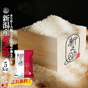 ★産地直送★ 新之助 【令和6年産】 新潟県産 新之助 白米5kg (5kg×1袋) 新潟産 送料無料 新潟 しんのすけ おこめ お米 米 米5kg 米5キロ ...