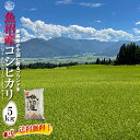 【令和5年産】 魚沼産 コシヒカリ 白米5kg (5kg×1袋) 新潟県産 送料無料 魚沼 特A 1等 新潟 こしひかり おこめ お米 米 米5kg 米5キロ お米5キロ 白米 コメブランド米 お歳暮