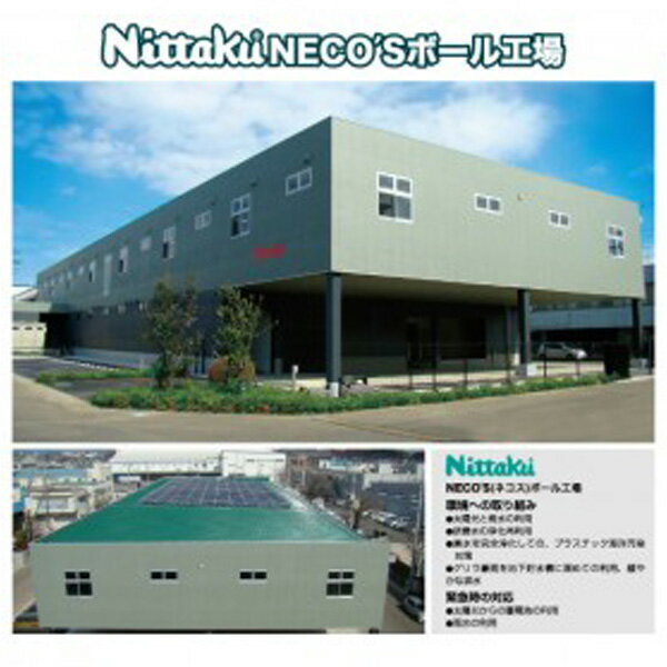 卓球 ボール 初心者 中級者 安心の定価販売 上級者 卓球ボール プラ２スター Nittaku Nb 13 ニッタク 3個入 Add0045