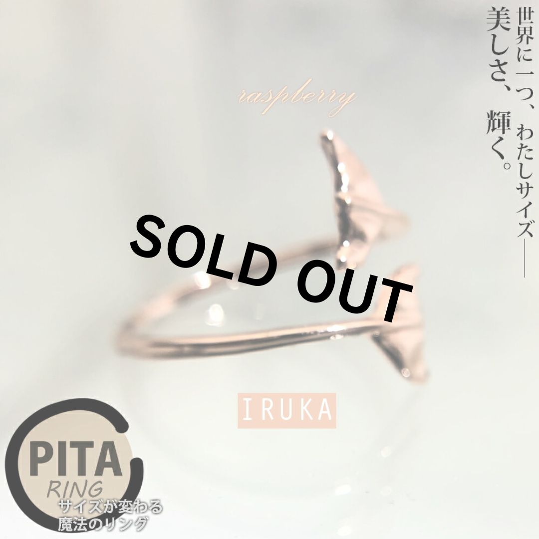 正規品 イルカ リング ピンクゴールド 指輪 薄型 シンプル フリーサイズ 細い 星 小さい 携帯用 ポーチ付 付ハワイアンジュエリー ステンレス 癒し グッズ イルカクジラ キーホルダー キーホルダー Pkpp Lp3m Unila Ac Id 正規品 イルカ リング ピンクゴールド 指輪 薄型 シンプル フリーサイズ 細い 星 小さい 携帯用 ポーチ付 付ハワイアンジュエリー ステンレス 癒し グッズ イルカクジラ キーホルダー キーホルダー Pkpp Lp3m Unila Ac Id