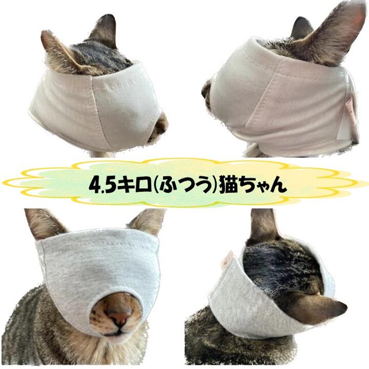 猫の補助マスク【マスク+おもちゃセット開店記念...の紹介画像3