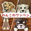 犬のワッペン【織姫通りのよりどり2点以上対象商品♪2点から購入可能！単品購入不可】匠小町鎌倉　織姫通り 　うちの子　ワッペン　オリジナルアイテム　犬　ゴールデンレトリバー　ミニチュアシュナウザー　ペット　アイロン　ハンドメイド　手芸(wap-5)