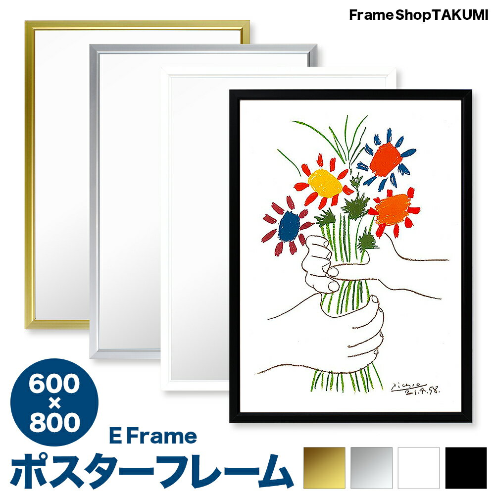 ポスターフレーム　アルミ額縁　【Eフレーム】600×800mmOAサイズ　インテリアフレーム