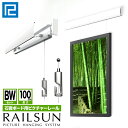 RAILSUN レールサン石膏ボード用ピクチャーレールBWセット1m(100cm)【RAILSUN FIT白ボール式ワイヤー自在付】WRS-100BW額吊レール　インテリア雑貨　ディスプレイ