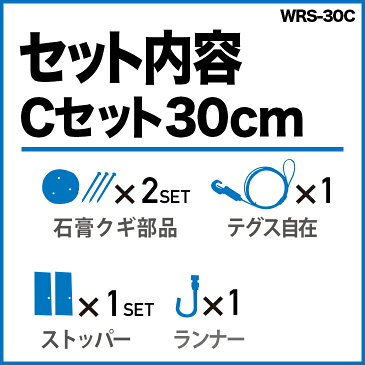 お買得石膏ボード用RAILSUN レールサンピクチャーレールセット　30cm【RAILSUN テグス自在付 Cセット】WRS-30C額吊レール　インテリア雑貨　ディスプレイ