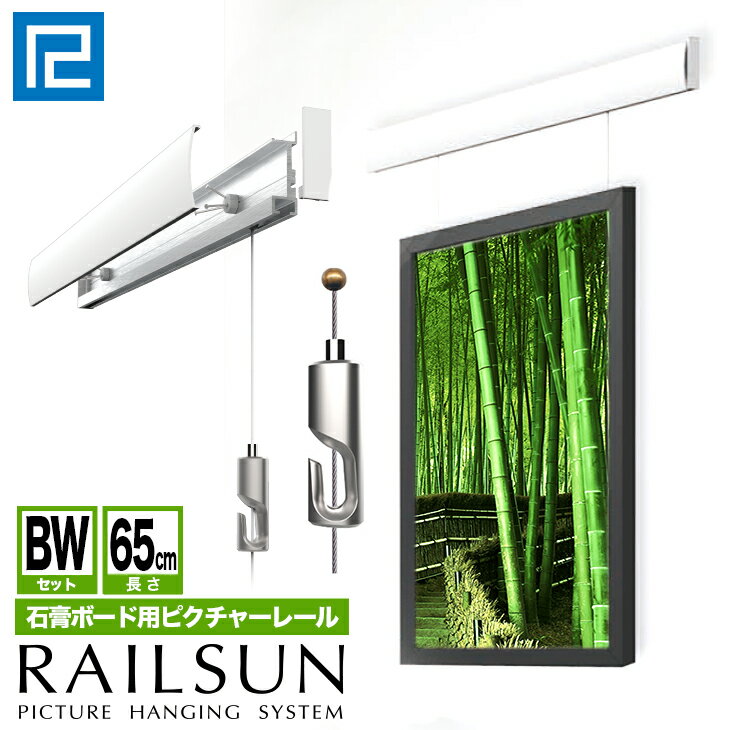 RAILSUN レールサン石膏ボード用ピクチャーレールBWセット65cm【RAILSUN FIT白ボール式ワイヤー自在付】WRS-65BW額吊レール　インテリア雑貨　ディスプレイ