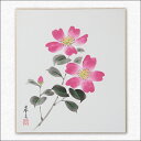 ≪メール便対応≫アウトレット色紙 冬【山茶花 015】佐々木 基之日本画 絵画 色紙アウトレット商品 10P01Oct16