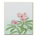 ≪メール便対応≫アウトレット色紙 初夏【春のしゃくなげ 017】松田 清峰日本画 絵画 色紙アウトレット商品 10P01Oct16