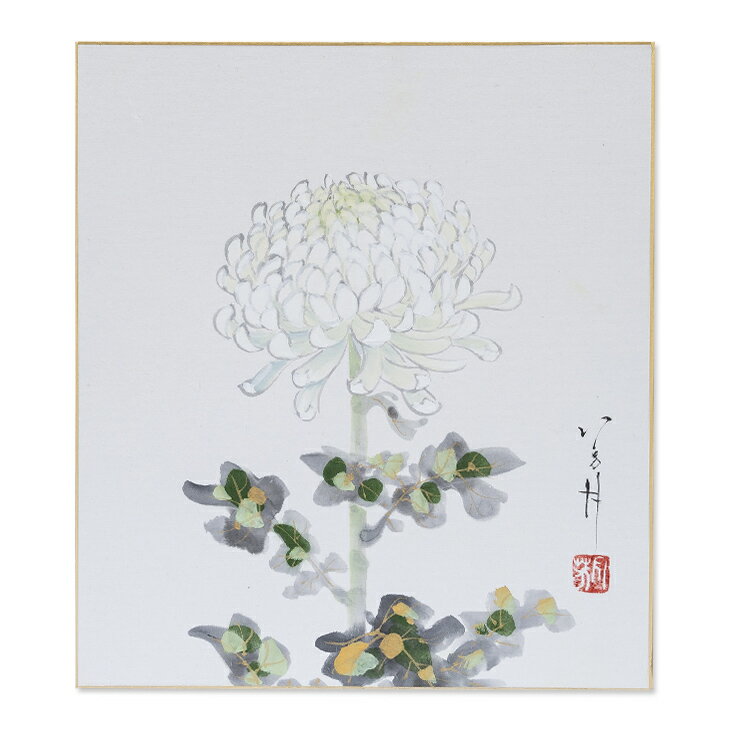 ≪メール便対応≫アウトレット色紙　秋【菊　013】神保芳月日本画　絵画　色紙 アウトレット