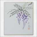 ≪メール便対応≫藤に花 色紙 初夏【藤の花 031】轡田 幸恵日本画 絵画 色紙アウトレット商品 10P01Oct16