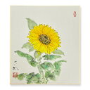 ≪メール便対応≫色紙 特価価格 初夏【田中玉仙 ひまわり 011】直筆 日本画 絵画 色紙