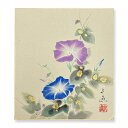 【メール便・代引不可】直筆色紙 特別価格初夏【中谷文魚 朝顔 015】色紙絵 花鳥 夏