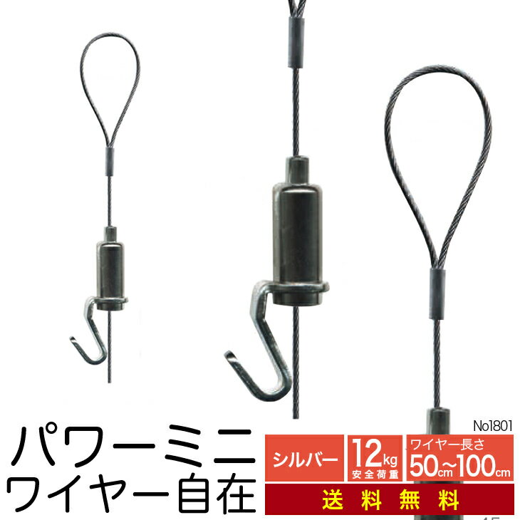 《メール便・送料無料》ピクチャーレール用 ワイヤー自在【パワーミニワイヤー自在 NO1801】50cm 70cm 100cm 【smtb-k】【ky】 10P01Oct16