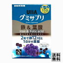 UHA味覚糖 グミサプリ 鉄＆葉酸 アサイーミックス 110日分 220粒