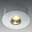 LAMP XKclHHera LEDCg LED-EYE1W^i LED-EYE1W-CWR[h 220-500-063FxK 5000F FƎˊp 35lm 94