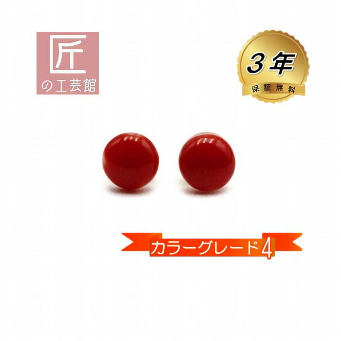 血赤珊瑚 ピアス モチ型 5.5ミリ 高