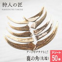 8月1日限定!店内全品10%OFFクーポン配布中【北海道稚内産】エゾ鹿肉の角・先端(アソート50本)