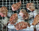【北海道稚内産】エゾ鹿肉 ヒレ肉 500g (ブロック)【無添加】【エゾシカ肉/蝦夷鹿肉/えぞしか肉/ジビエ】 3